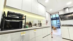RiverParc Residence (D19), Condominium #472732651